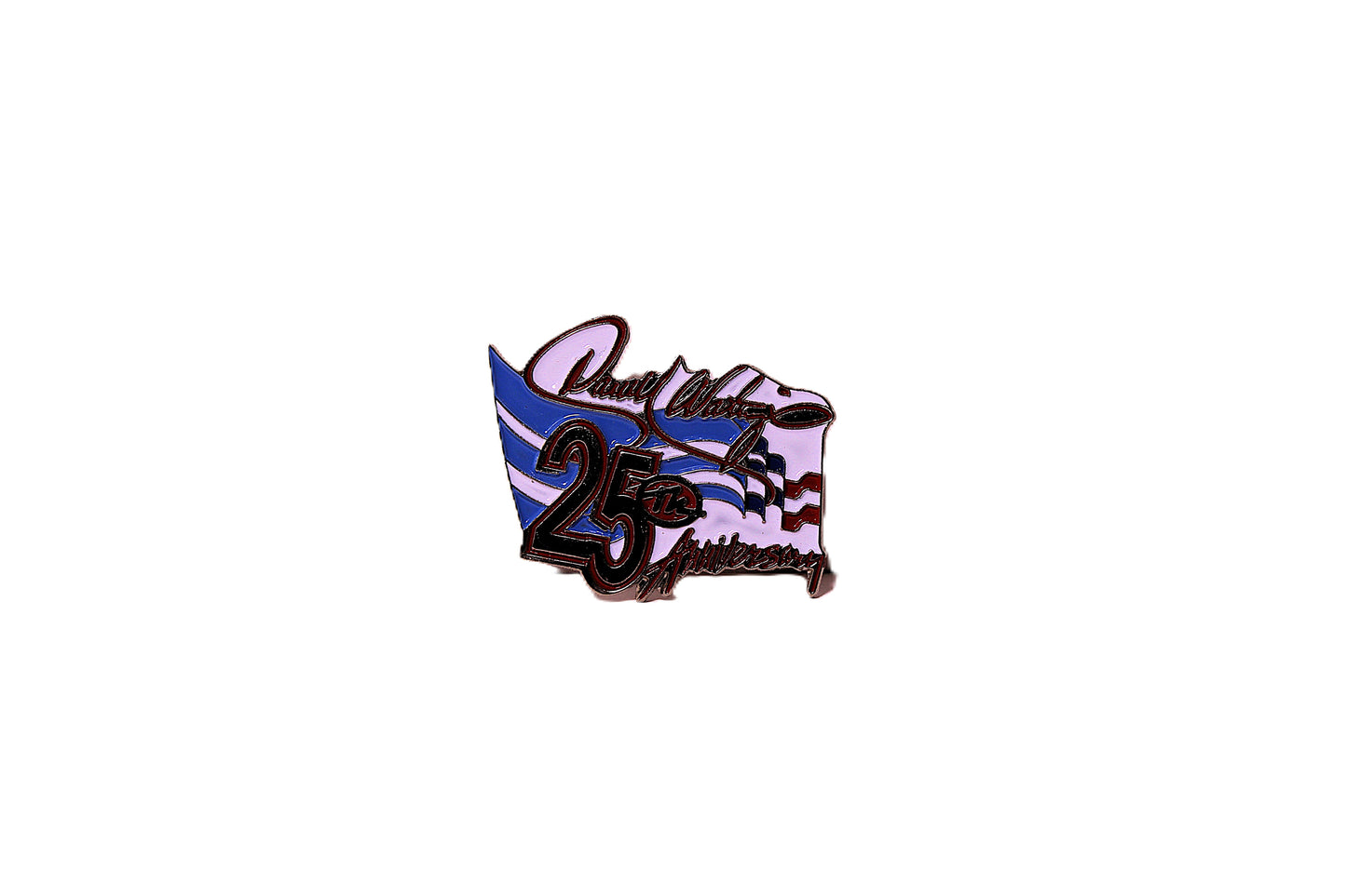 Nascar Pins(11)