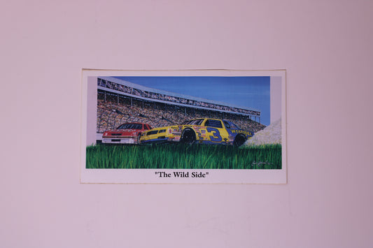 Nascar Stickers(6)