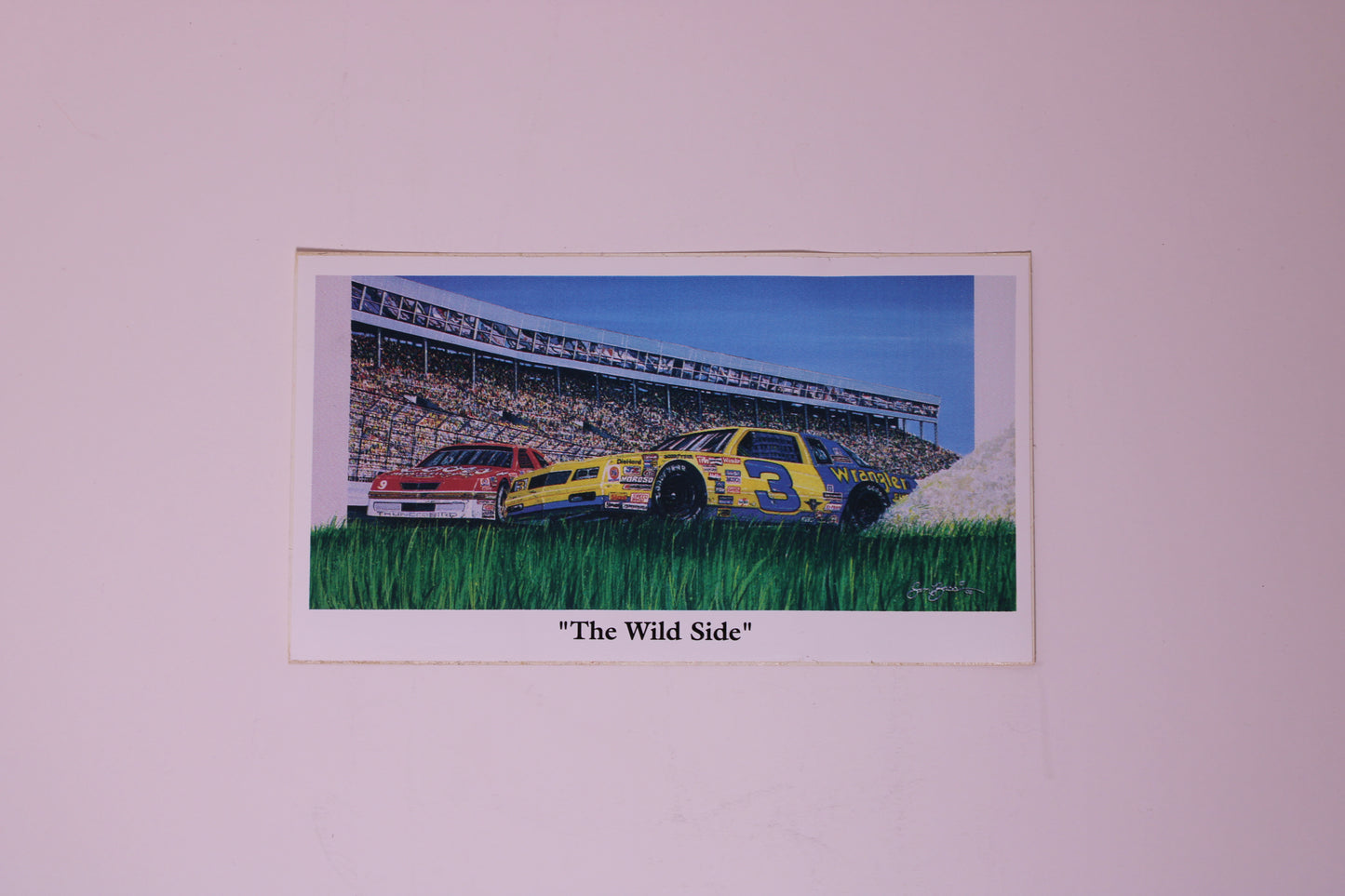 Nascar Stickers(6)